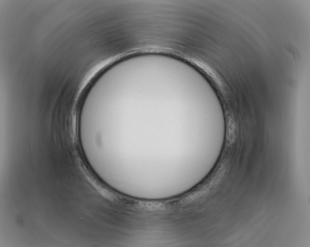 X0000113750886200909231003
