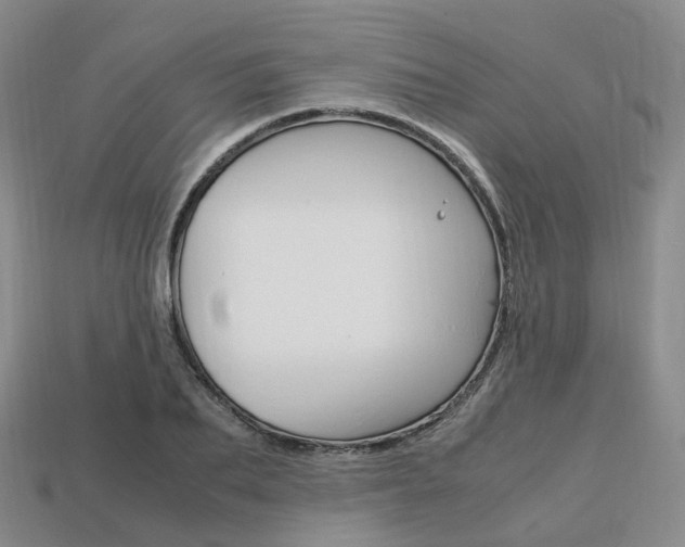 X0000113750887200909231003