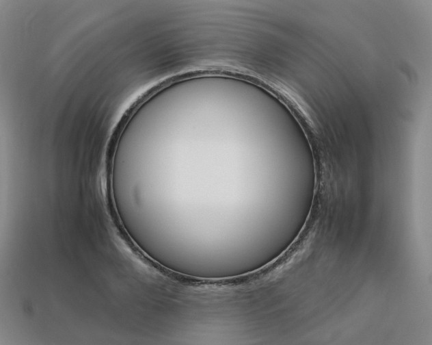 X0000113750888200909231003