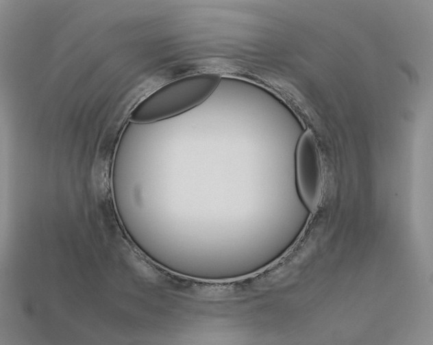 X0000113750889200909231003