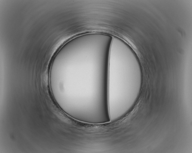 X0000113750891200909231003