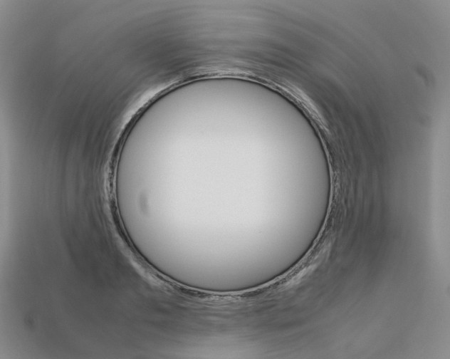 X0000113750893200909231003