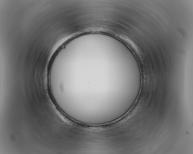 X0000113750894200909231003