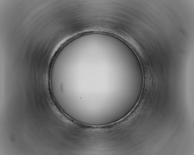X0000113750896200909231003
