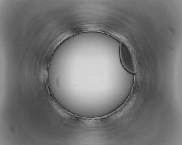 X0000113750897200909231003