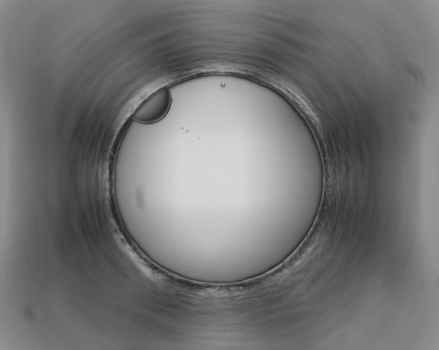 X0000113750898200909231003
