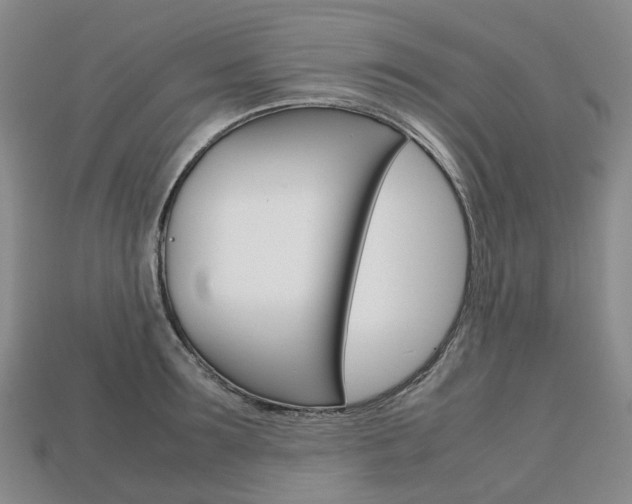 X0000113750899200909231003