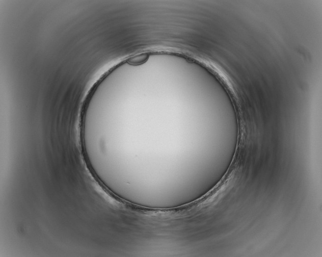 X0000113750902200909231003