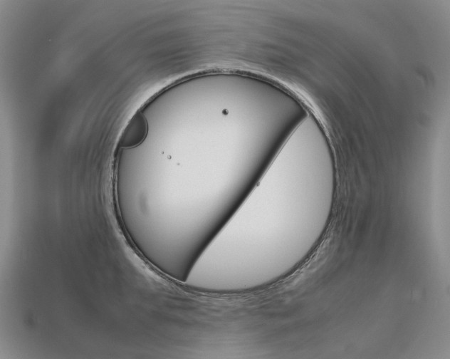 X0000113750903200909231003