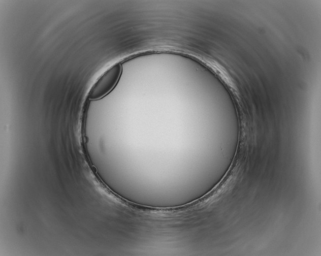 X0000113750904200909231003