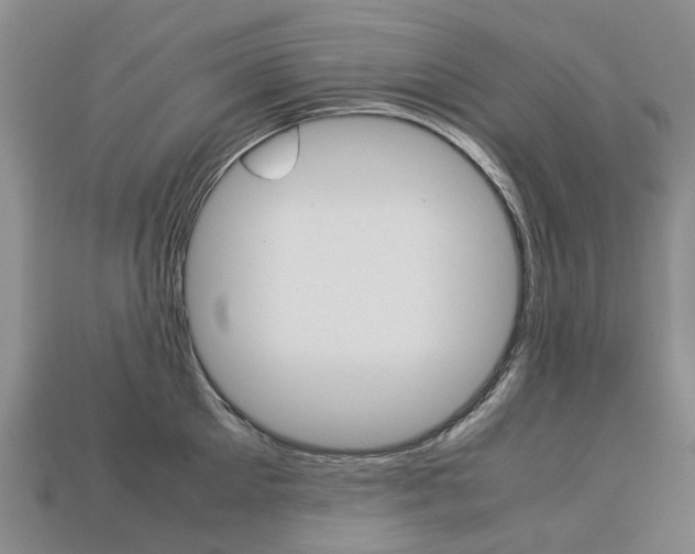 X0000113750905200909231003