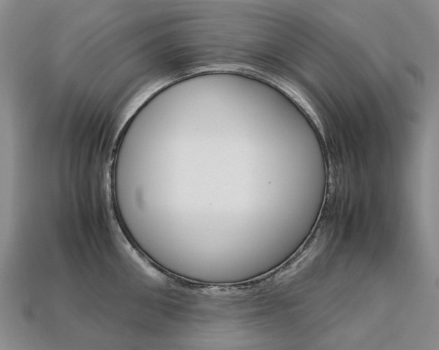 X0000113750906200909231003