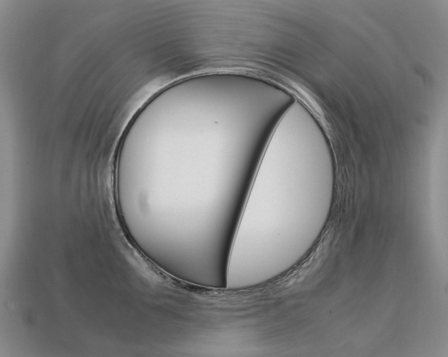 X0000113750907200909231003