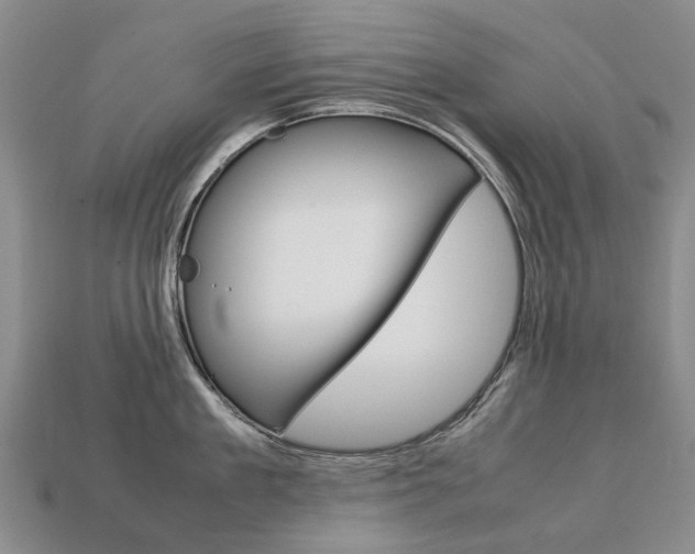 X0000113750909200909231003