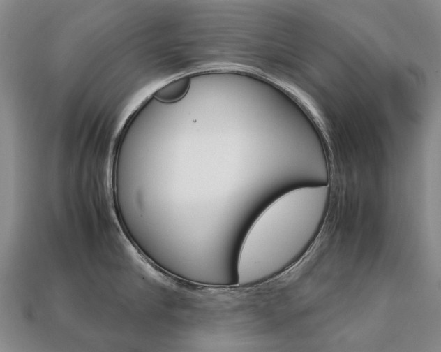 X0000113750910200909231003