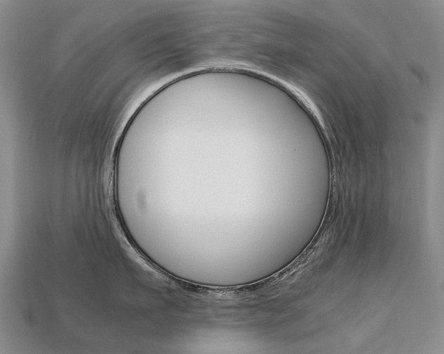 X0000113750911200909231003