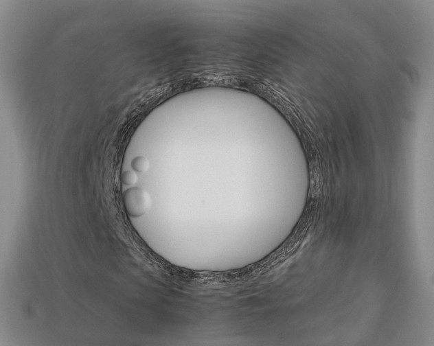 X0000113750913200909231003