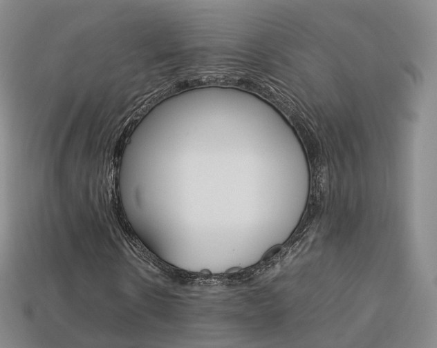 X0000113750914200909231003