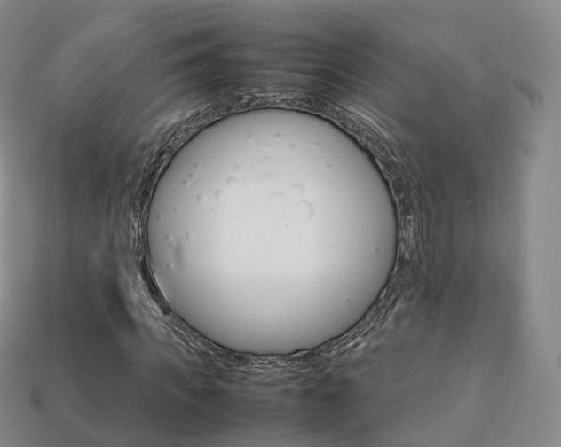 X0000113750917200909231003