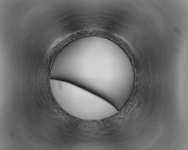X0000113750919200909231003