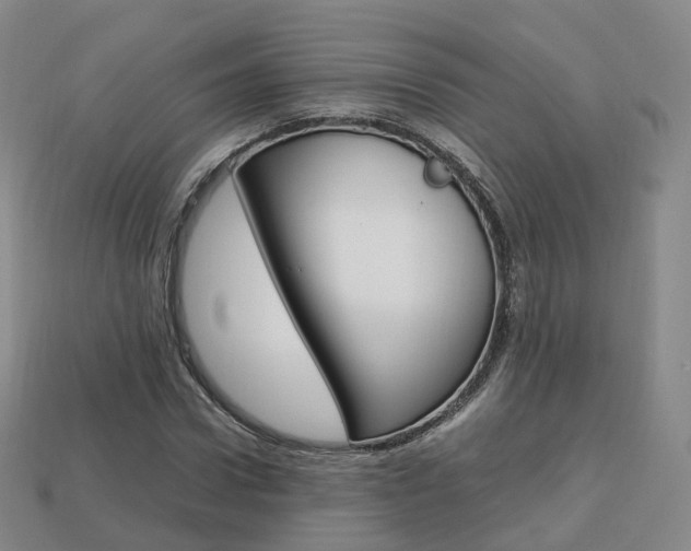 X0000113750922200909231003