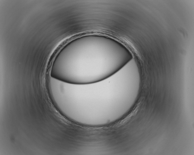 X0000113750924200909231003