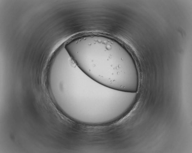 X0000113750925200909231003