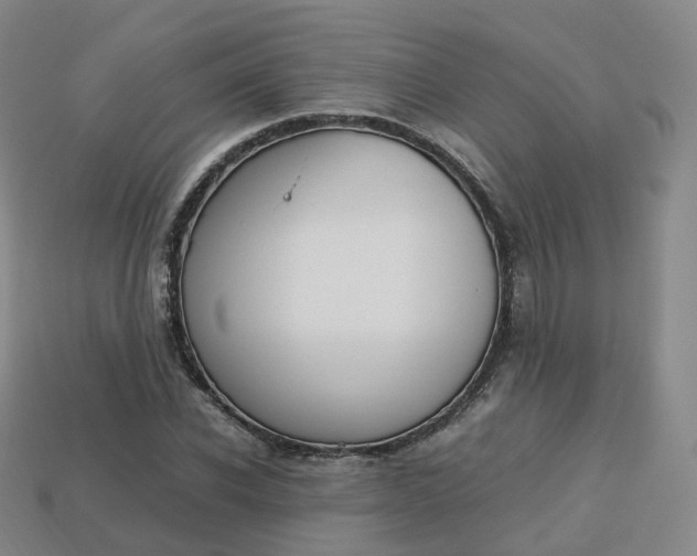 X0000113750926200909231003
