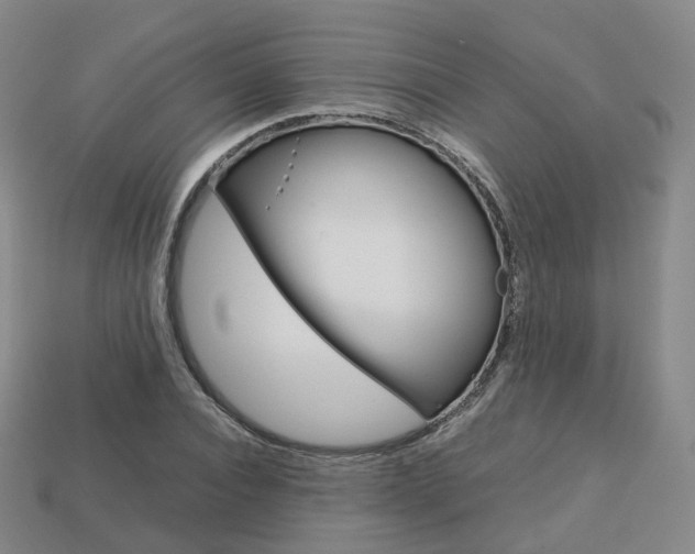 X0000113750928200909231003