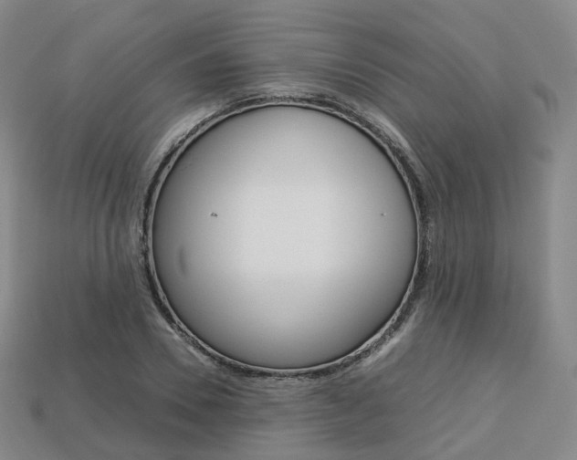 X0000113750930200909231003