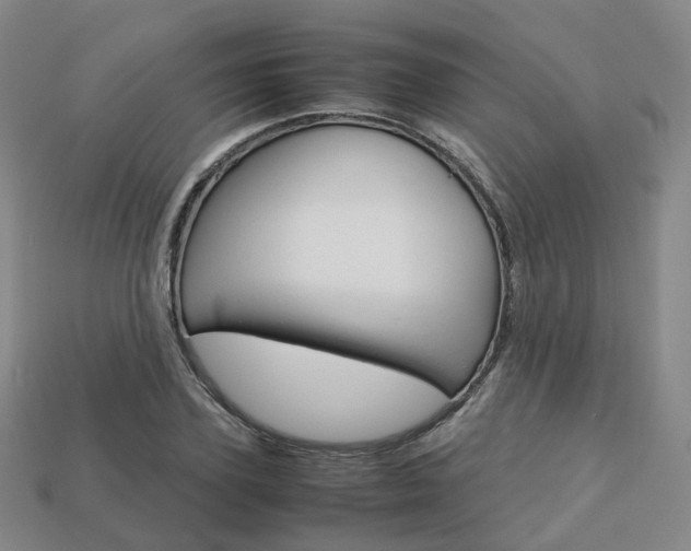 X0000113750931200909231003