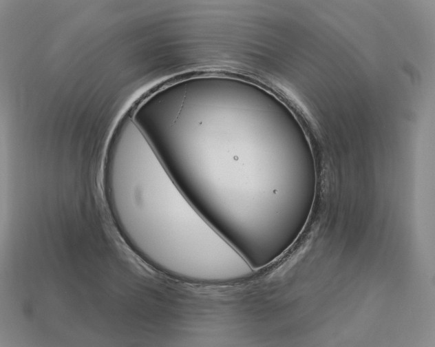 X0000113750932200909231003