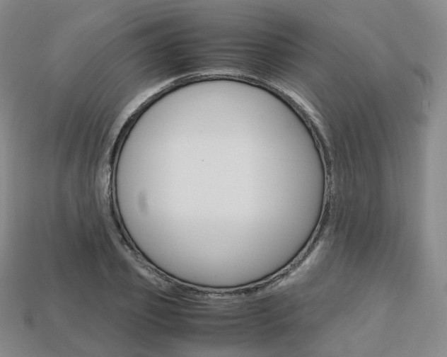 X0000113750933200909231003