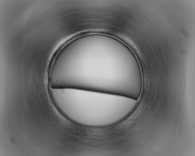 X0000113750935200909231003