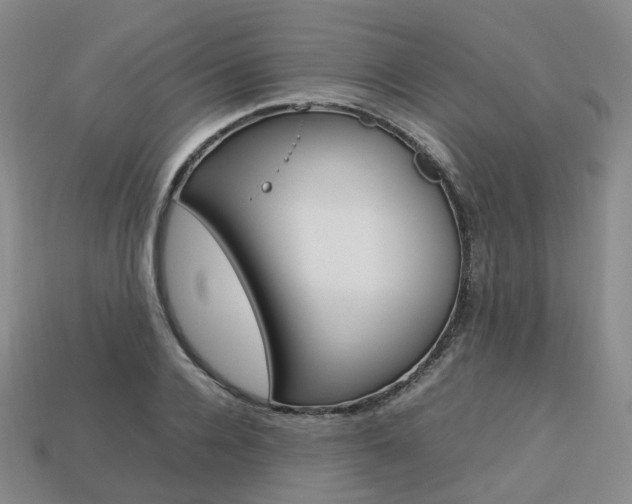 X0000113750936200909231003