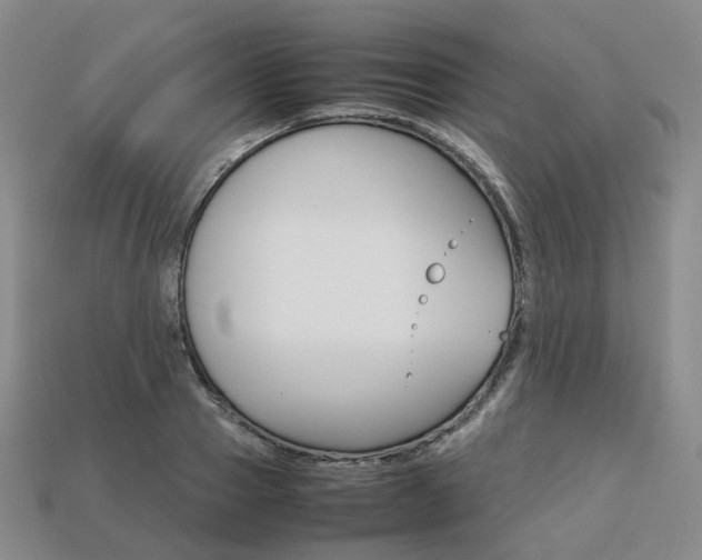 X0000113750937200909231003
