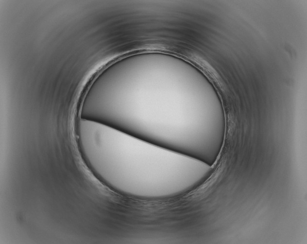 X0000113750939200909231003