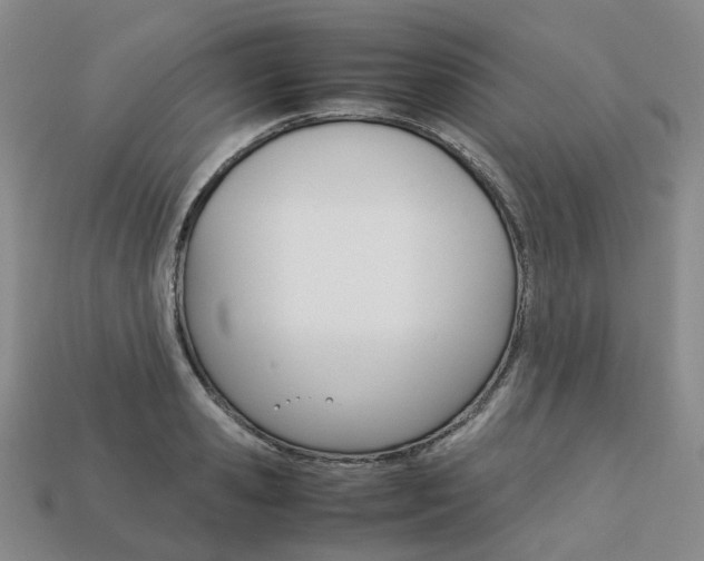 X0000113750941200909231003