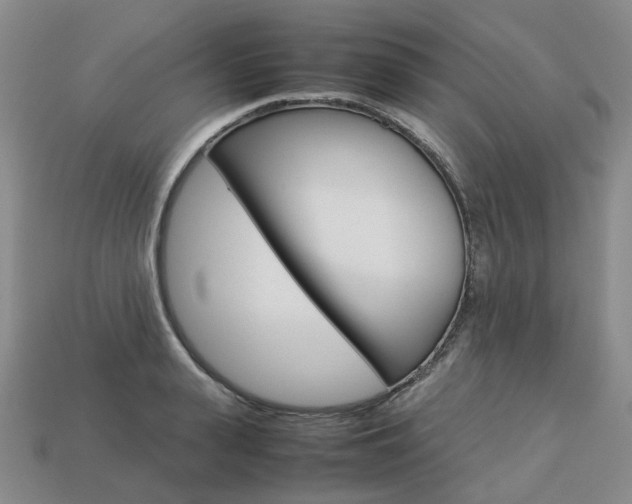 X0000113750943200909231003