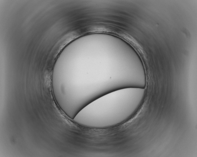 X0000113750945200909231003