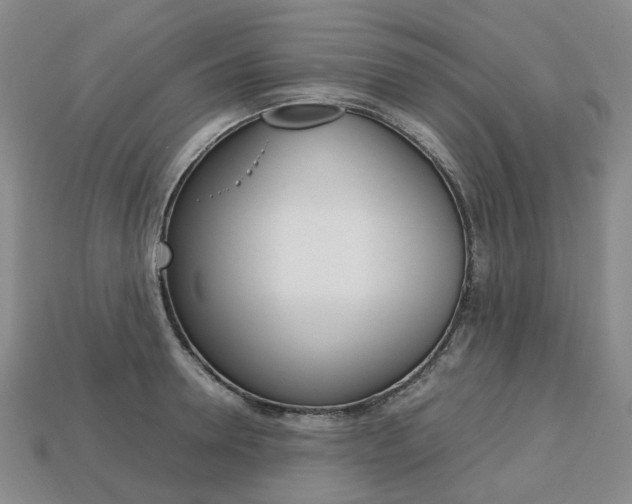 X0000113750946200909231003