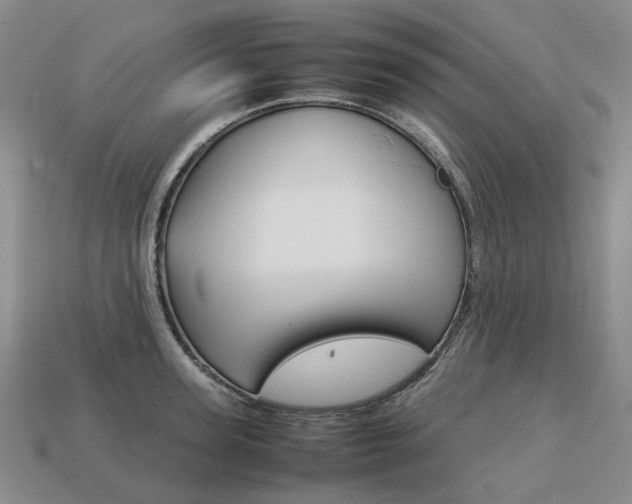 X0000113750947200909231003