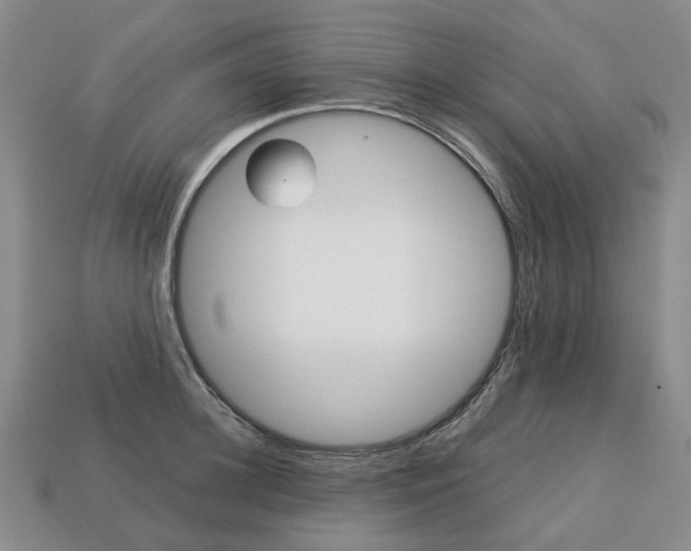 X0000113750948200909231003
