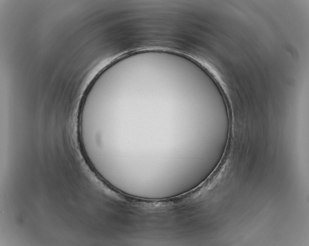 X0000113750949200909231003