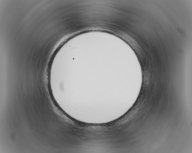 X0000113750950200909231003