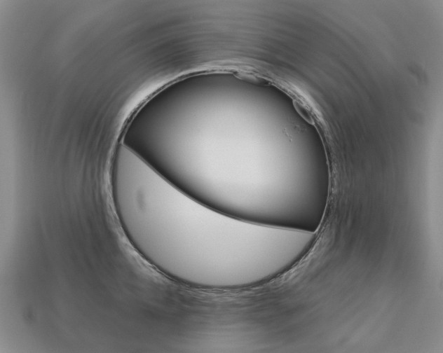 X0000113750952200909231003
