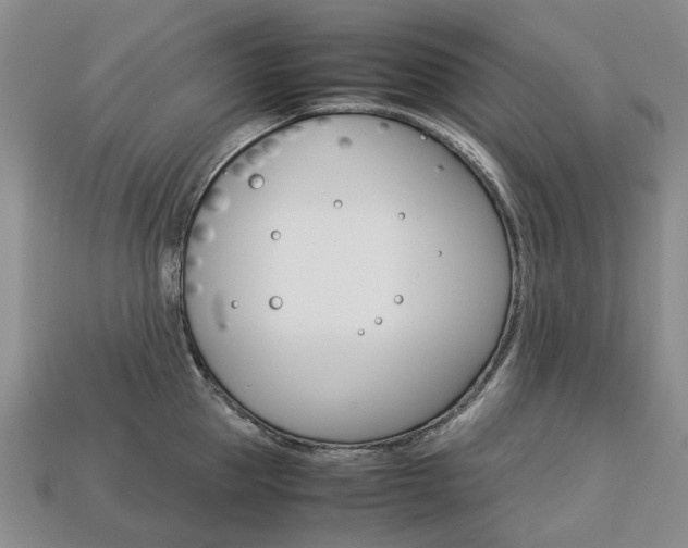 X0000113750953200909231003