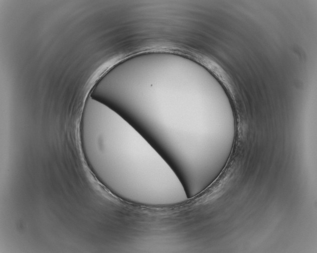 X0000113750954200909231003