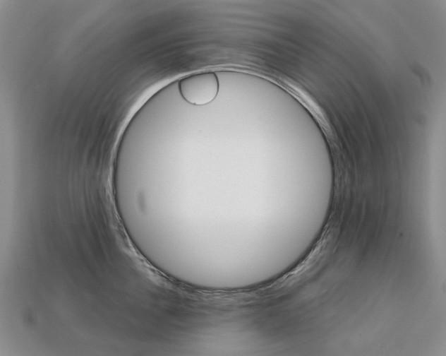 X0000113750956200909231003