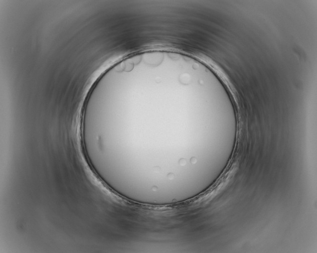 X0000113750957200909231003
